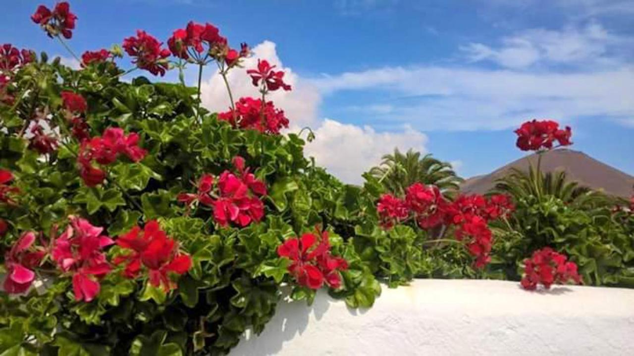 Cozy House In El Golfo + Terrace Villa Екстериор снимка